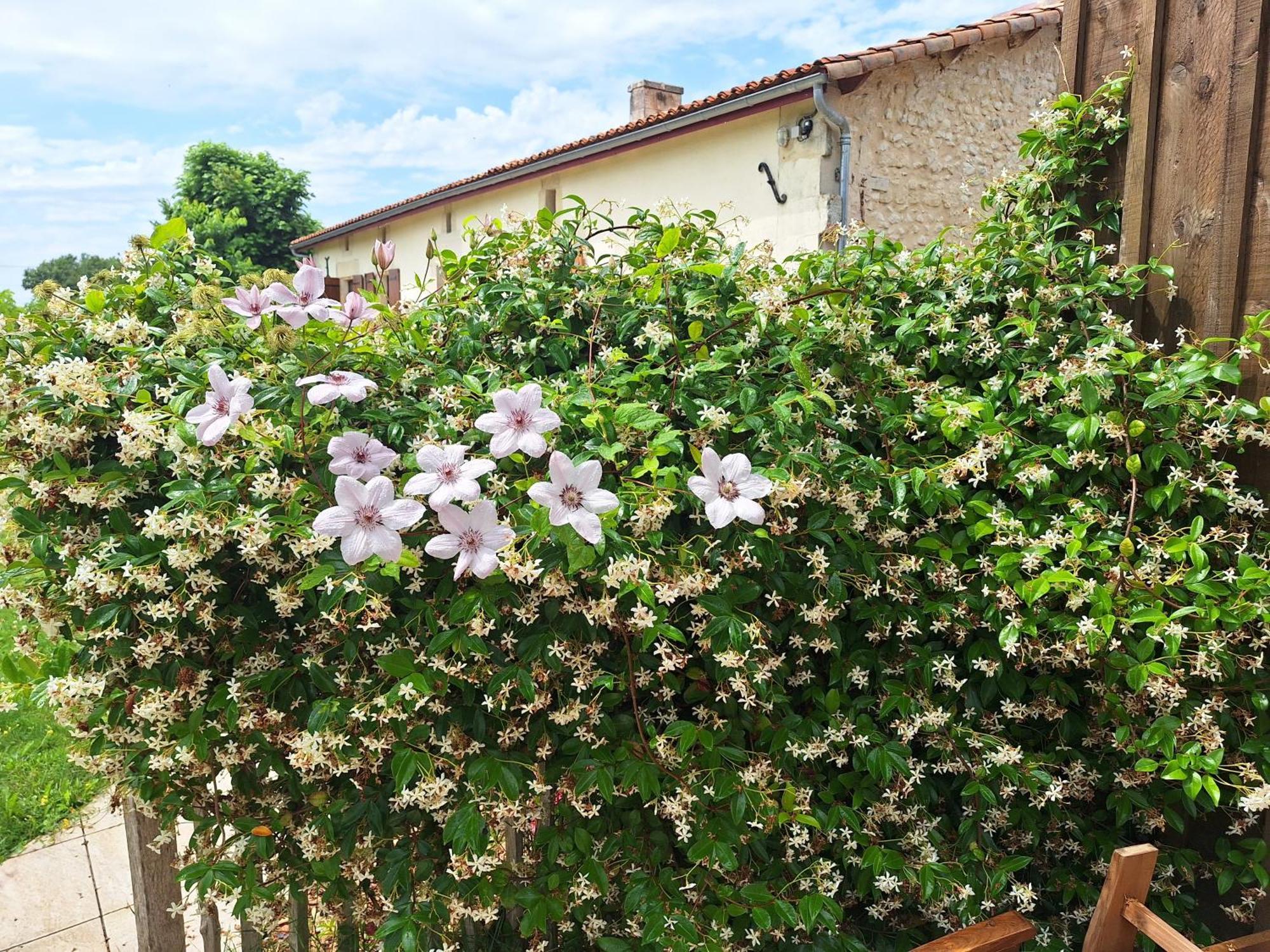 Gîte Cosy Grand confort dans un écrin de verdure Agudelle Exterior foto